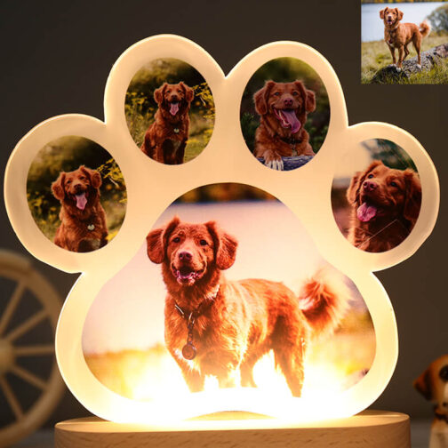 APNA PHOTO Personalized Dog Paw Acrylic Lamp