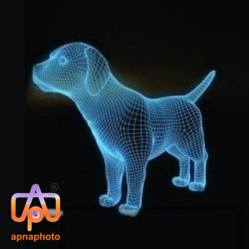 customized personalized 3d illusion led lamp