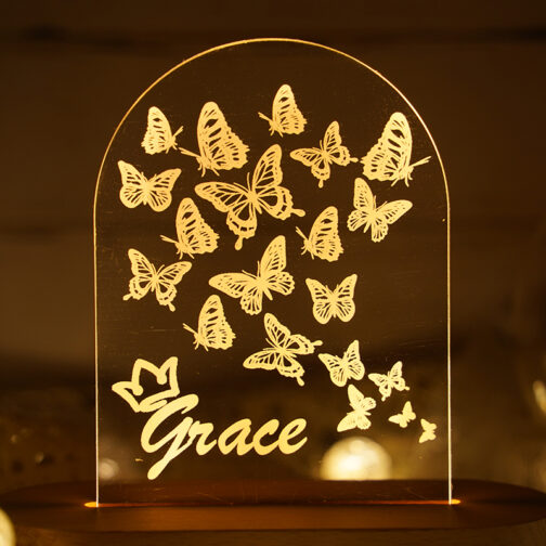 Apna Photo customized Butterfly Led Lamp