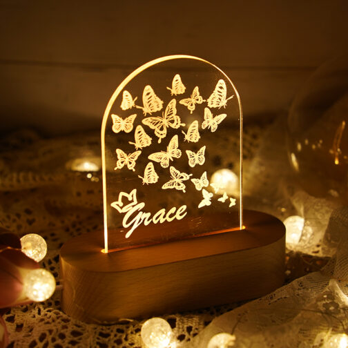 Apna Photo customized Butterfly Led Lamp